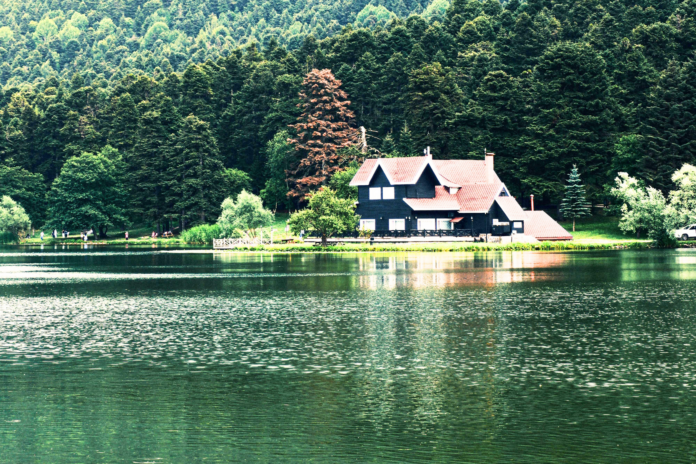 bolu (4).webp